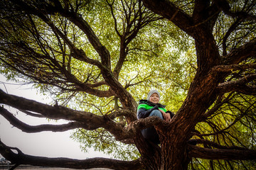 Fototapeta premium Boy is walking in the autumn Park