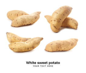 Layout with white sweet potato isolated on white background