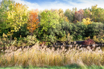 Angrignon park in Montreal Quebec 2