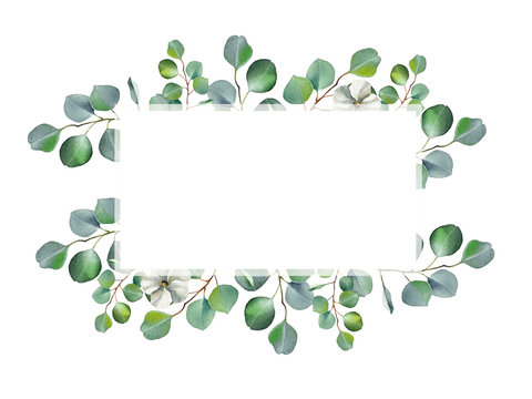 Watercolor floral illustration with eucalyptus green leaves, branches and jasmine flowers isolated on white background. Hand painted frame for wedding invitation, save the date or greeting design.