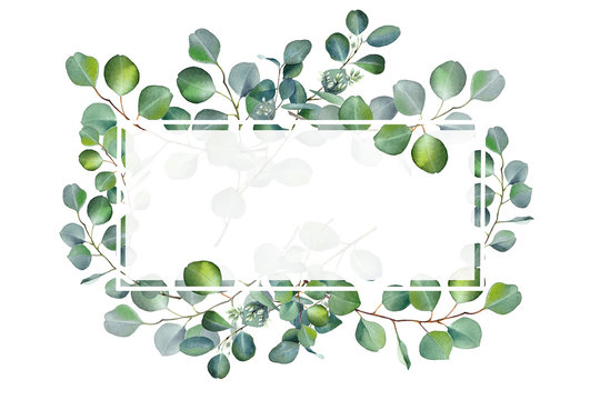 Watercolor floral illustration with eucalyptus green leaves and branch isolated on white background. Hand painted wreath flowers for wedding invitation, save the date or greeting design.