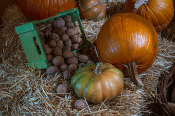  Walnuts are in a wooden green box, next to are pumpkins and straw