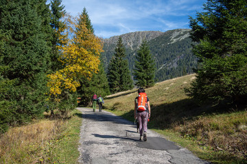 Tourist with a red backpack on the trail in the Karkonosze Mountains - Krkonose National Park, Czech Republic