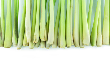 pile lemon grass on white background.