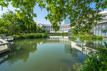 park scenery at a sunny day,suzhou,jiangsu province,china.