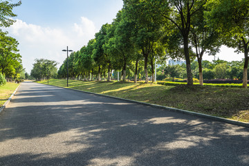 Asphalt road and green trees in the blue sky