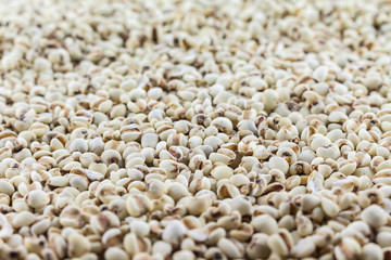 pile job's tear texture background.