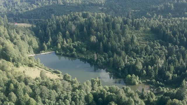 Tabzon City Pond Middle of Green Forest Aerial View