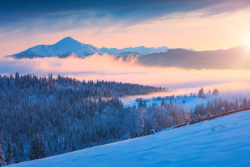 Carpathian winter mountain valley covered with fog