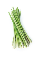 bundle lemon grass on white background.