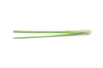 lemon grass on white background.