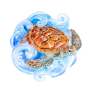 Sea turtle on the sea wave isolated on white background. Watercolor. Illustration.  Template. Close-up. Clip art. Hand drawing. Painting