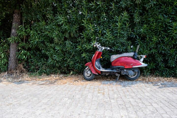 Red Vespa motorbike standing on the pavement by some bushes