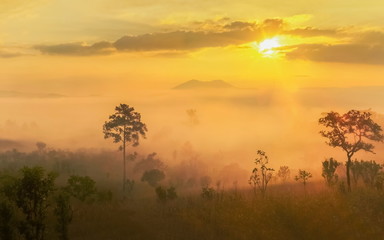 Fototapeta na wymiar Mountain view morning of misty forest around with sea of mist with cloudy sky background, sunrise at Thung Salang Luang National Park, Khao Kho, Phetchabun, Thailand.