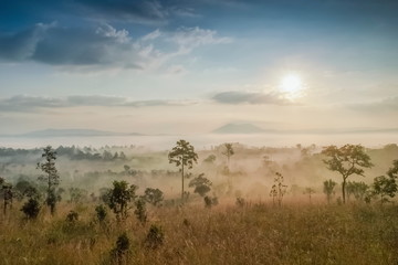 Fototapeta na wymiar Mountain view of green meadow around with sea of fog with yellow sun light and cloudy sky background, sunrise at Thung Salang Luang, Khao Kho, Phetchabun, Thailand.