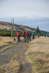 Obraz premium Tourists on the trail in the Karkonosze Mountains, Czech Republic, Karkonosze National Park, Tourist Routes, Tourists, Trail