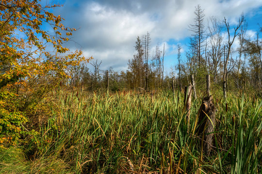 Osterwald Bilder Durchsuchen 1,193 Archivfotos, und