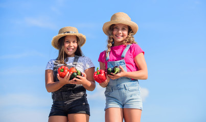 Respecting ecology. kids on summer farm. Organic food. harvest vitamin. spring market garden. small...
