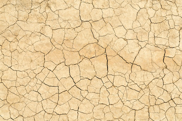 Clay sandy earth parched and cracked
