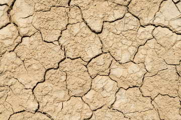 Clay sandy earth parched and cracked