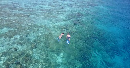 Couple snorkeling and swimming over a beautiful seabed with coral and fish close to deep blue seawater in Australia coastline - Powered by Adobe