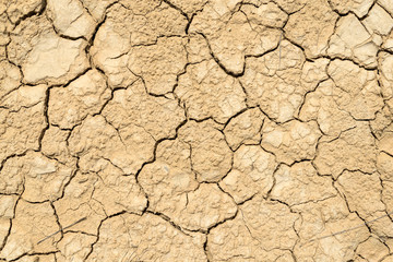 Clay sandy earth parched and cracked