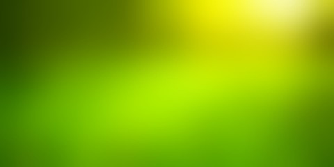 Empty green summer light background. Meadow in forest defocused illustration. Grass blurred texture. Exclusive trend.