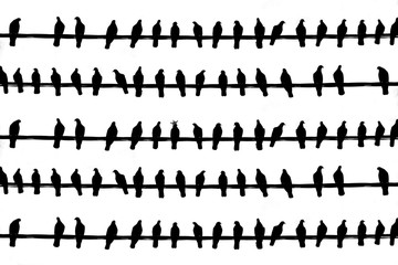 Isolated black silhouettes of Doves on white background.