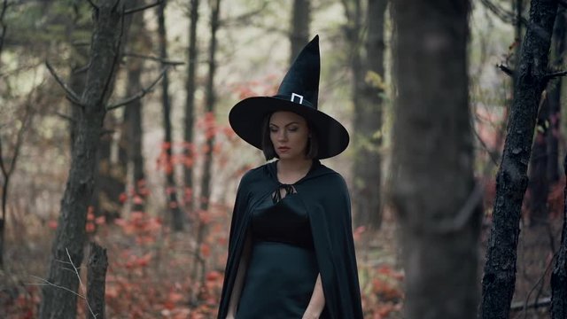 Woman as black witch walks between trees in autumn forest.Girl in long dress, cape, fairy hat. Halloween concept, cosplay dressing up