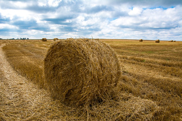 straw bales on harvested summer field