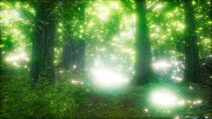 Obraz premium 8K Morning in the Misty Spring Forest with Sun Rays