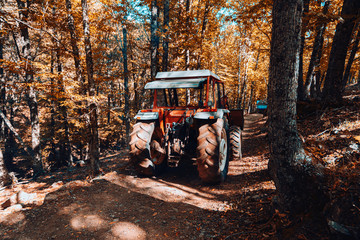 Fototapeta na wymiar Tractor in autumn chestnut forest in Spain with warm colors