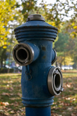 Fire hydrant in grass on park
