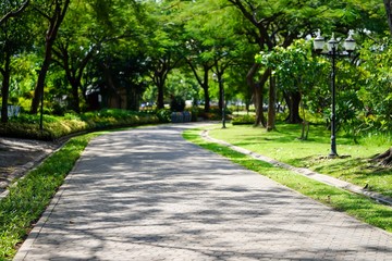 path in the park