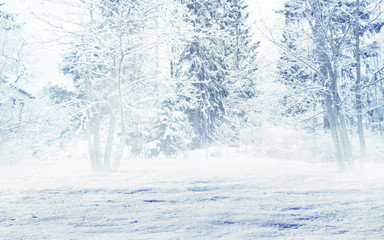 Winter forest background. Snow, fog, moonlight. Winter landscape