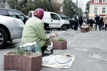 grandmother in the market sells products