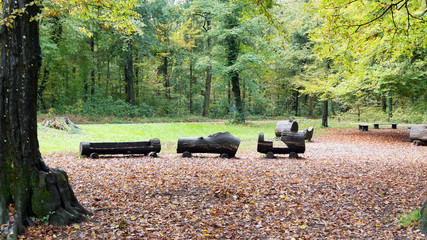 children's playground in autumn park