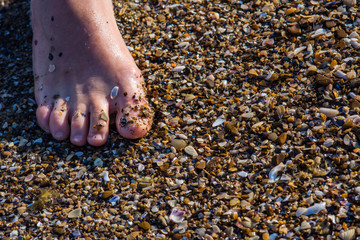 womans foot on the sea beach pebble and shells closeup