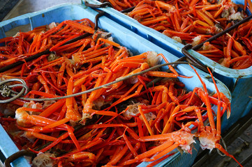 日本海で収獲された紅ズワイ蟹の足