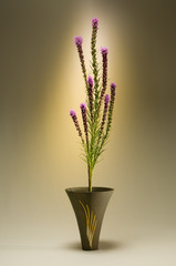 Fotografía de estudio de arreglo floral Ikebana