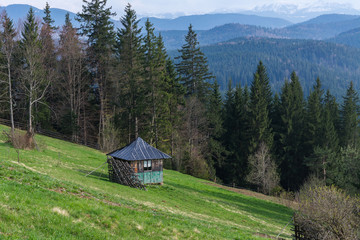 Carpathian mountains panoramic view with trees forest