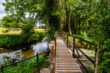 wooden footbridge on footpath through forest