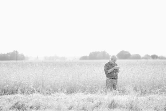 Black and white photo of senior farmer examining wheat grains in field