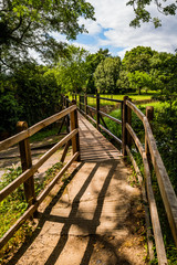 wooden footbridge on footpath through forest