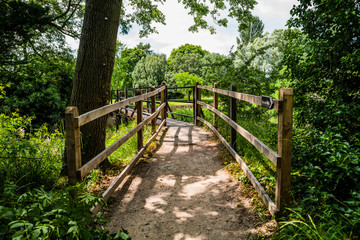 Fototapeta na wymiar wooden footbridge on footpath through forest