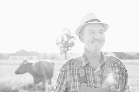 Black and white photo of senior farmer standing against herd in field