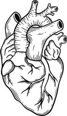 heart vector hand drawn illustration tattoo sketch style isolated on white