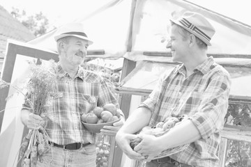 Farmers carrying newly harvest organic vegetables in farm