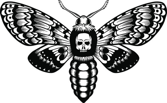 seamless pattern deaths head hawk moth vector illustration isolated on white. hand drawn tattoo style. Black and white vector art.