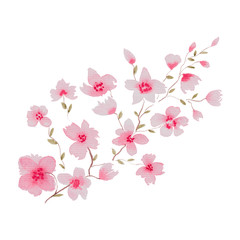 Fototapeta na wymiar watercolor cherry blossom branch isolated on white, floral illustration with sakura pink flowers